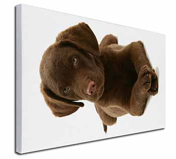 Chocolate Labrador Puppy Dog Canvas X-Large 30"x20" Wall Art Print