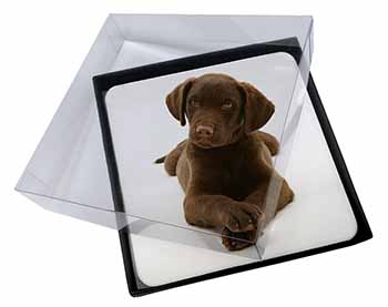 4x Chocolate Labrador Puppy Dog Picture Table Coasters Set in Gift Box