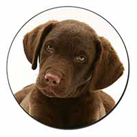 Chocolate Labrador Puppy Dog Fridge Magnet Printed Full Colour