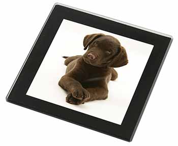 Chocolate Labrador Puppy Dog Black Rim High Quality Glass Coaster