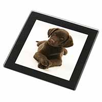 Chocolate Labrador Puppy Dog Black Rim High Quality Glass Coaster