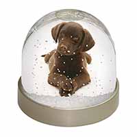 Chocolate Labrador Puppy Dog Snow Globe Photo Waterball