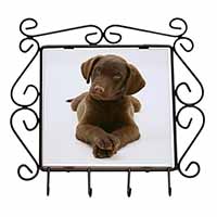 Chocolate Labrador Puppy Dog Wrought Iron Key Holder Hooks