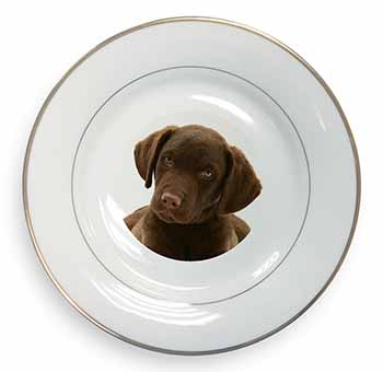 Chocolate Labrador Puppy Dog Gold Rim Plate Printed Full Colour in Gift Box