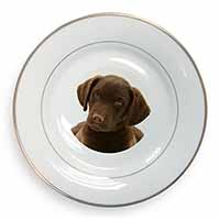 Chocolate Labrador Puppy Dog Gold Rim Plate Printed Full Colour in Gift Box