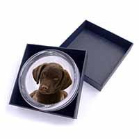 Chocolate Labrador Puppy Dog Glass Paperweight in Gift Box