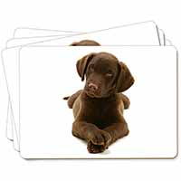 Chocolate Labrador Puppy Dog Picture Placemats in Gift Box