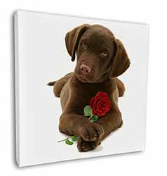Chocolate Labrador Pup with Rose Square Canvas 12"x12" Wall Art Picture Print
