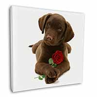 Chocolate Labrador Pup with Rose Square Canvas 12"x12" Wall Art Picture Print