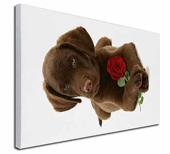 Chocolate Labrador Pup with Rose Canvas X-Large 30"x20" Wall Art Print