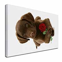 Chocolate Labrador Pup with Rose Canvas X-Large 30"x20" Wall Art Print