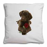 Chocolate Labrador Pup with Rose Soft White Velvet Feel Scatter Cushion