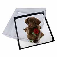 4x Chocolate Labrador Pup with Rose Picture Table Coasters Set in Gift Box