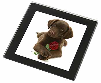 Chocolate Labrador Pup with Rose Black Rim High Quality Glass Coaster