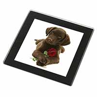 Chocolate Labrador Pup with Rose Black Rim High Quality Glass Coaster