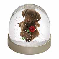 Chocolate Labrador Pup with Rose Snow Globe Photo Waterball