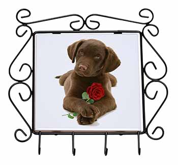 Chocolate Labrador Pup with Rose Wrought Iron Key Holder Hooks