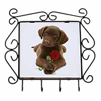 Chocolate Labrador Pup with Rose Wrought Iron Key Holder Hooks