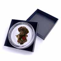Chocolate Labrador Pup with Rose Glass Paperweight in Gift Box