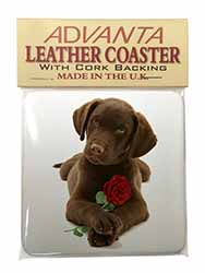 Chocolate Labrador Pup with Rose Single Leather Photo Coaster