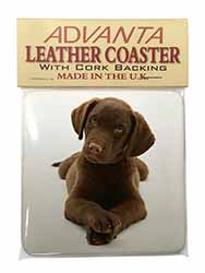 Chocolate Labrador Puppy Dog Single Leather Photo Coaster
