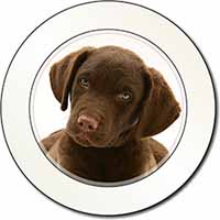 Chocolate Labrador Puppy Dog Car or Van Permit Holder/Tax Disc Holder