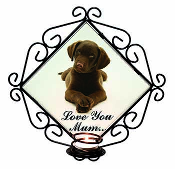 Chocolate Labrador Puppy 