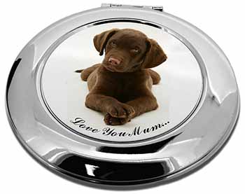 Chocolate Labrador Puppy 