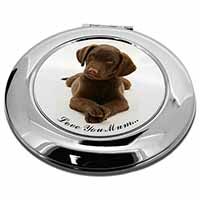 Chocolate Labrador Puppy 