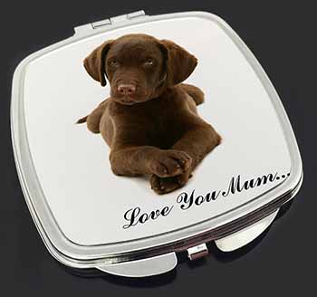 Chocolate Labrador Puppy 