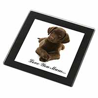 Chocolate Labrador Puppy 