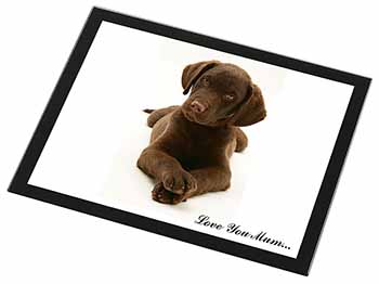 Chocolate Labrador Puppy 