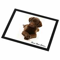 Chocolate Labrador Puppy 