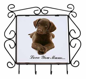 Chocolate Labrador Puppy 