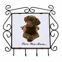 Chocolate Labrador Puppy 