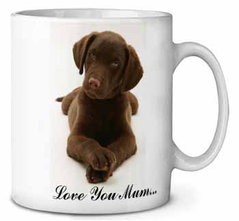 Chocolate Labrador Puppy 