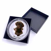 Chocolate Labrador Puppy Glass Paperweight in Gift Box