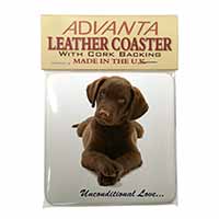 Chocolate Labrador Puppy Single Leather Photo Coaster