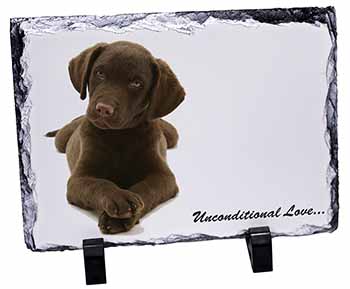 Chocolate Labrador Puppy, Stunning Photo Slate