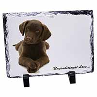 Chocolate Labrador Puppy, Stunning Photo Slate