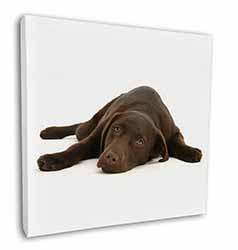 Chocolate Labrador Dog Square Canvas 12"x12" Wall Art Picture Print