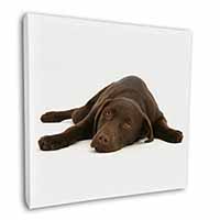 Chocolate Labrador Dog Square Canvas 12"x12" Wall Art Picture Print