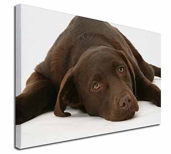 Chocolate Labrador Dog Canvas X-Large 30"x20" Wall Art Print