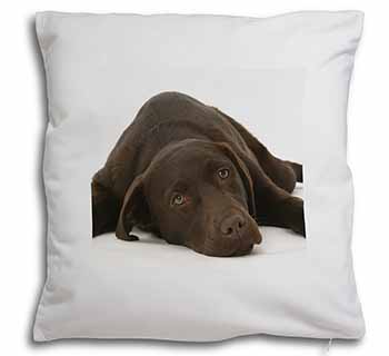 Chocolate Labrador Dog Soft White Velvet Feel Scatter Cushion