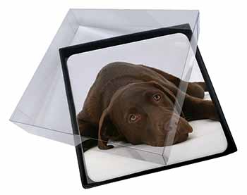 4x Chocolate Labrador Dog Picture Table Coasters Set in Gift Box