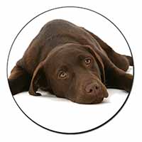 Chocolate Labrador Dog Fridge Magnet Printed Full Colour
