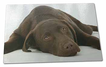 Large Glass Cutting Chopping Board Chocolate Labrador Dog