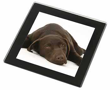 Chocolate Labrador Dog Black Rim High Quality Glass Coaster