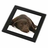 Chocolate Labrador Dog Black Rim High Quality Glass Coaster