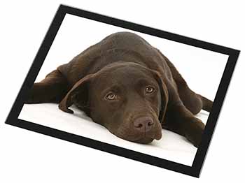 Chocolate Labrador Dog Black Rim High Quality Glass Placemat